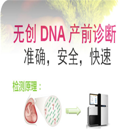无创DNA检测可代替羊穿吗